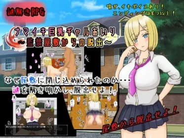 ナマイキ巨乳ギャルあいり～監禁屋敷からの脱出～ RJ01021107