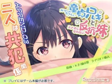 ガマンができない童貞兄キと、スナオになれない反抗妹 APPEND.03 二人は共犯関係 RJ430027