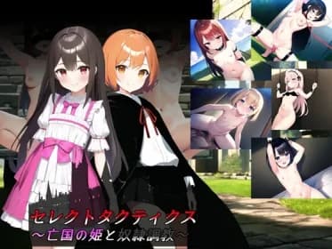 セレクトタクティクス ～亡国の姫と奴隷調教～ RJ01110795
