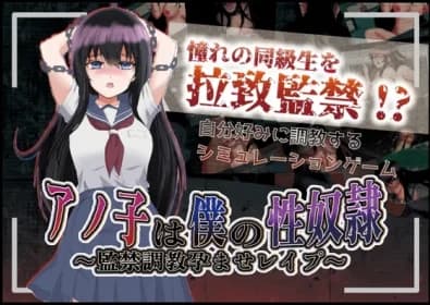 アノ子は僕の性奴隷 〜監禁調教孕ませレイプ〜 RJ01134914
