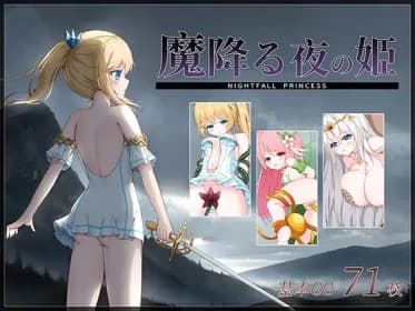 魔降る夜の姫 RJ01183715