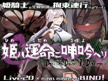 姫ハ運命ニ呻吟ヘリ Destined Damsel In Distress (RJ01345747)
