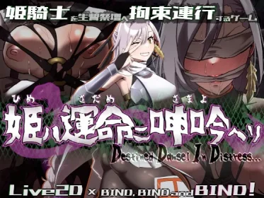 姫ハ運命ニ呻吟ヘリ Destined Damsel In Distress (RJ01345747)